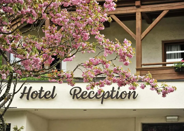 Fischerwirt Am Hotel 3*